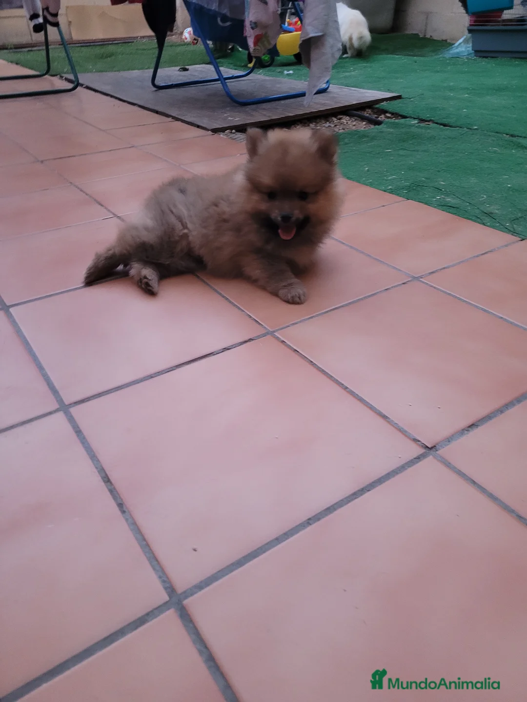 Imagen de galería {{count}}