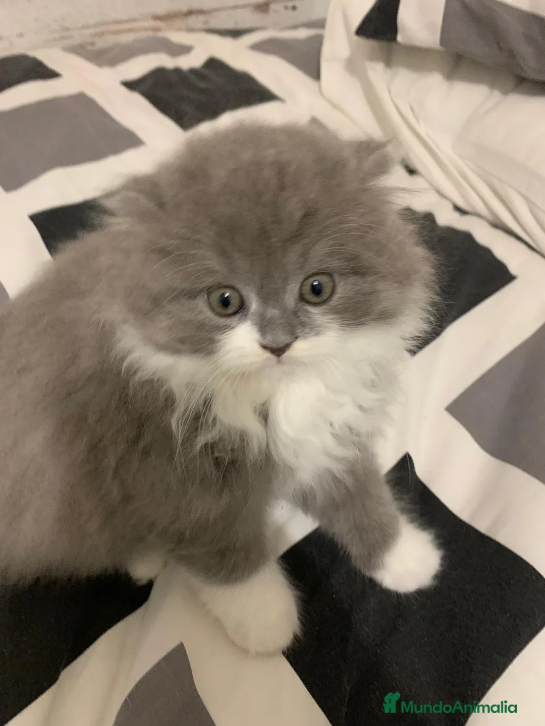 Imagen de galería {{count}}