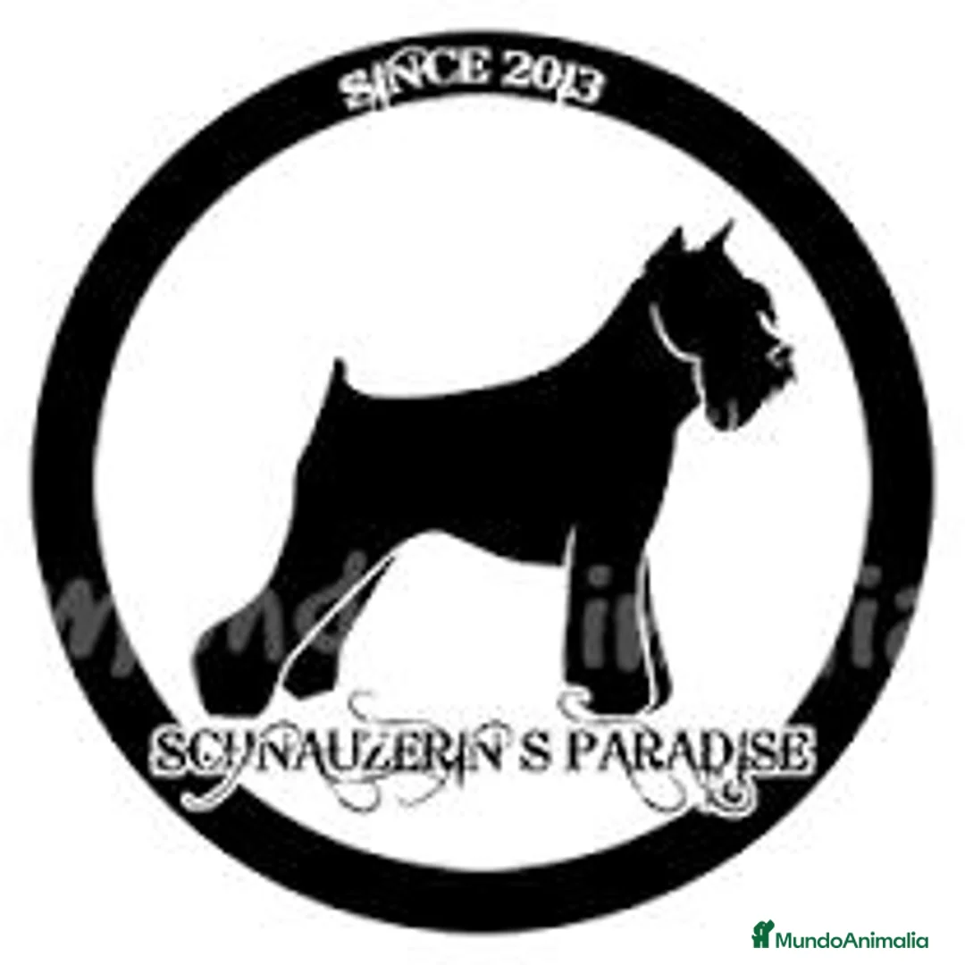 Imagen de galería {{count}}