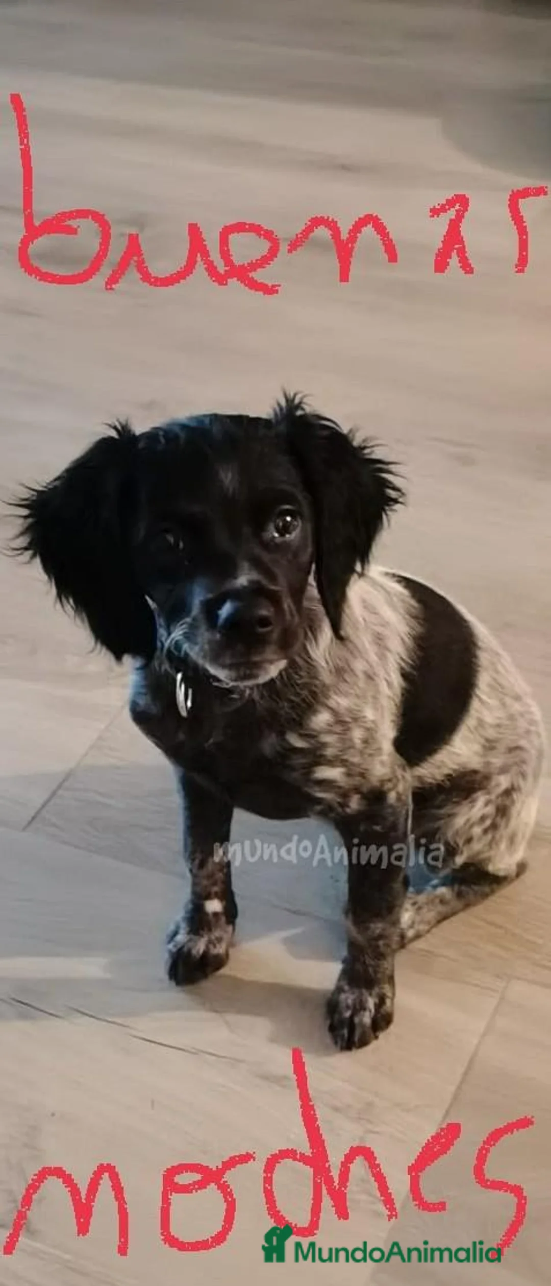 Imagen de galería {{count}}