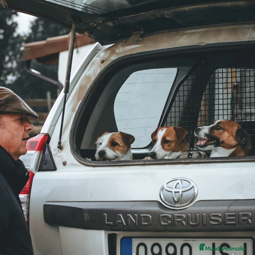 Imagen de galería {{count}}