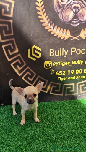 Imagen de galería {{count}}