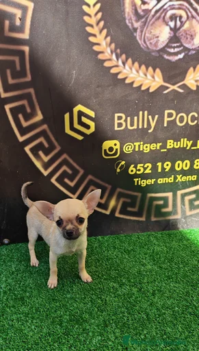 Imagen de galería {{count}}