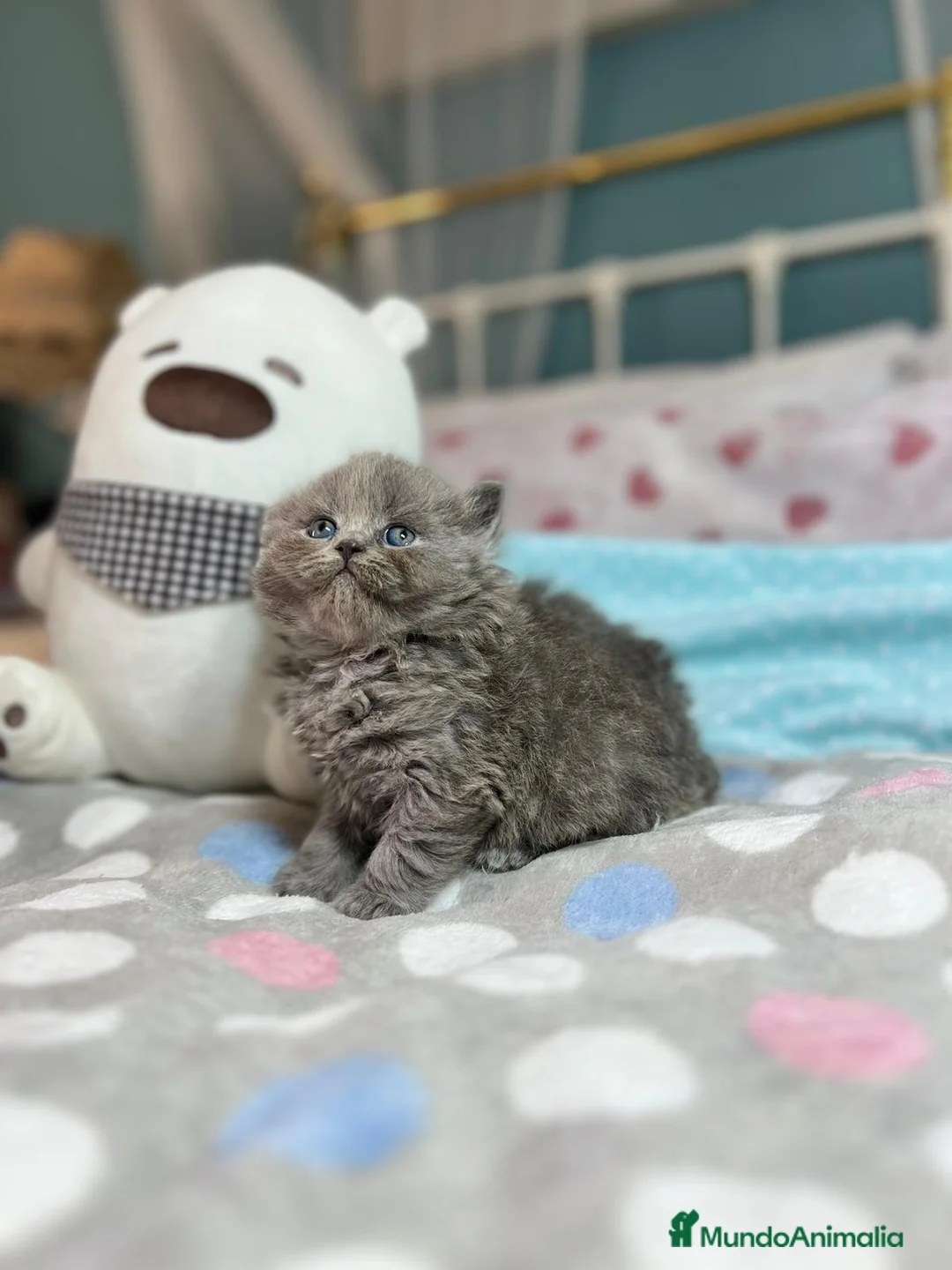 Imagen de galería {{count}}