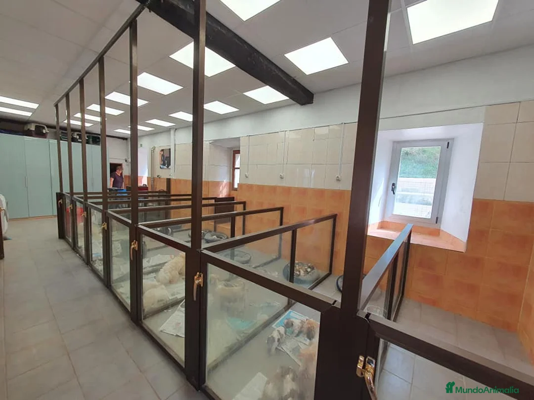 Imagen de galería {{count}}