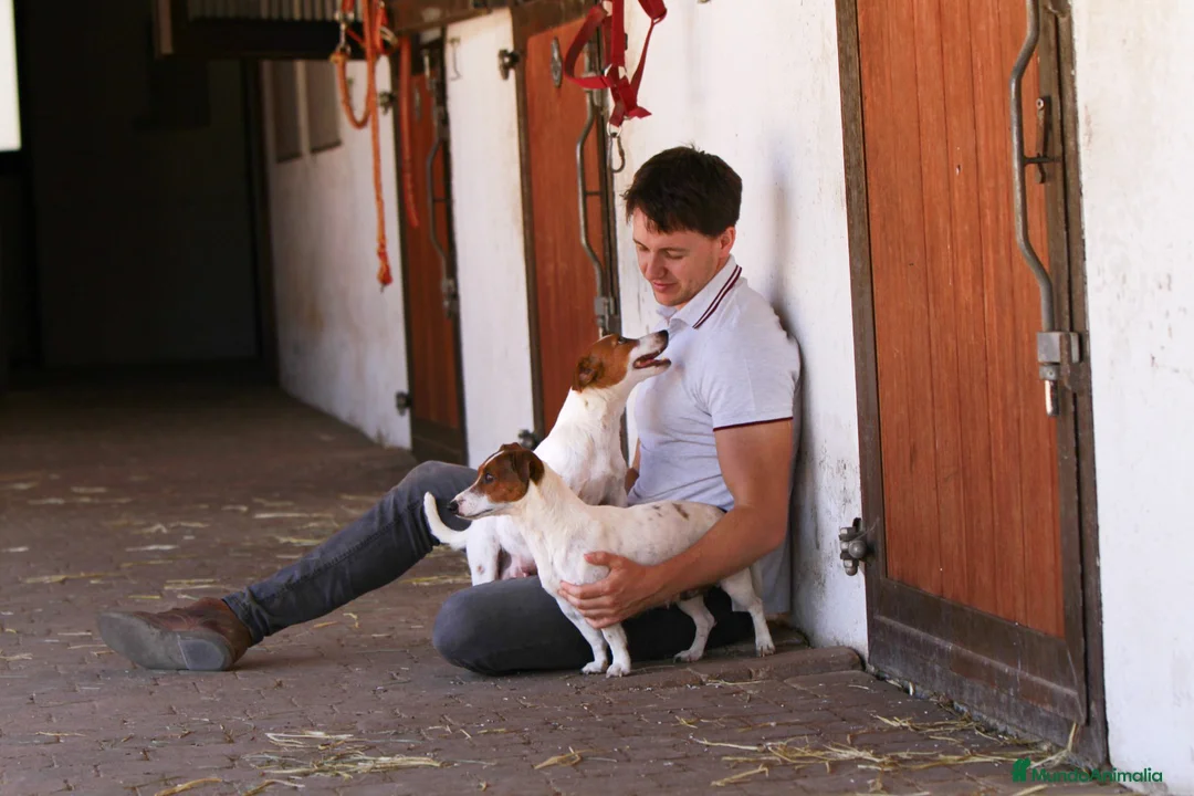 Imagen de galería {{count}}