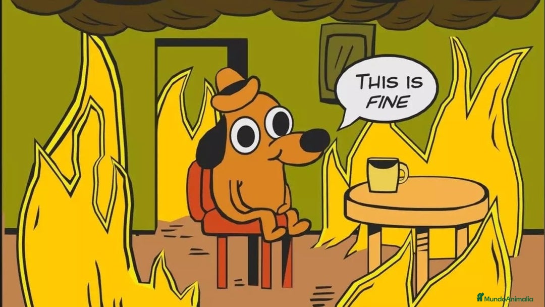 Airedale Terrier perros en venta: Vendor semper consectetur tellus sit - Anuncio 1