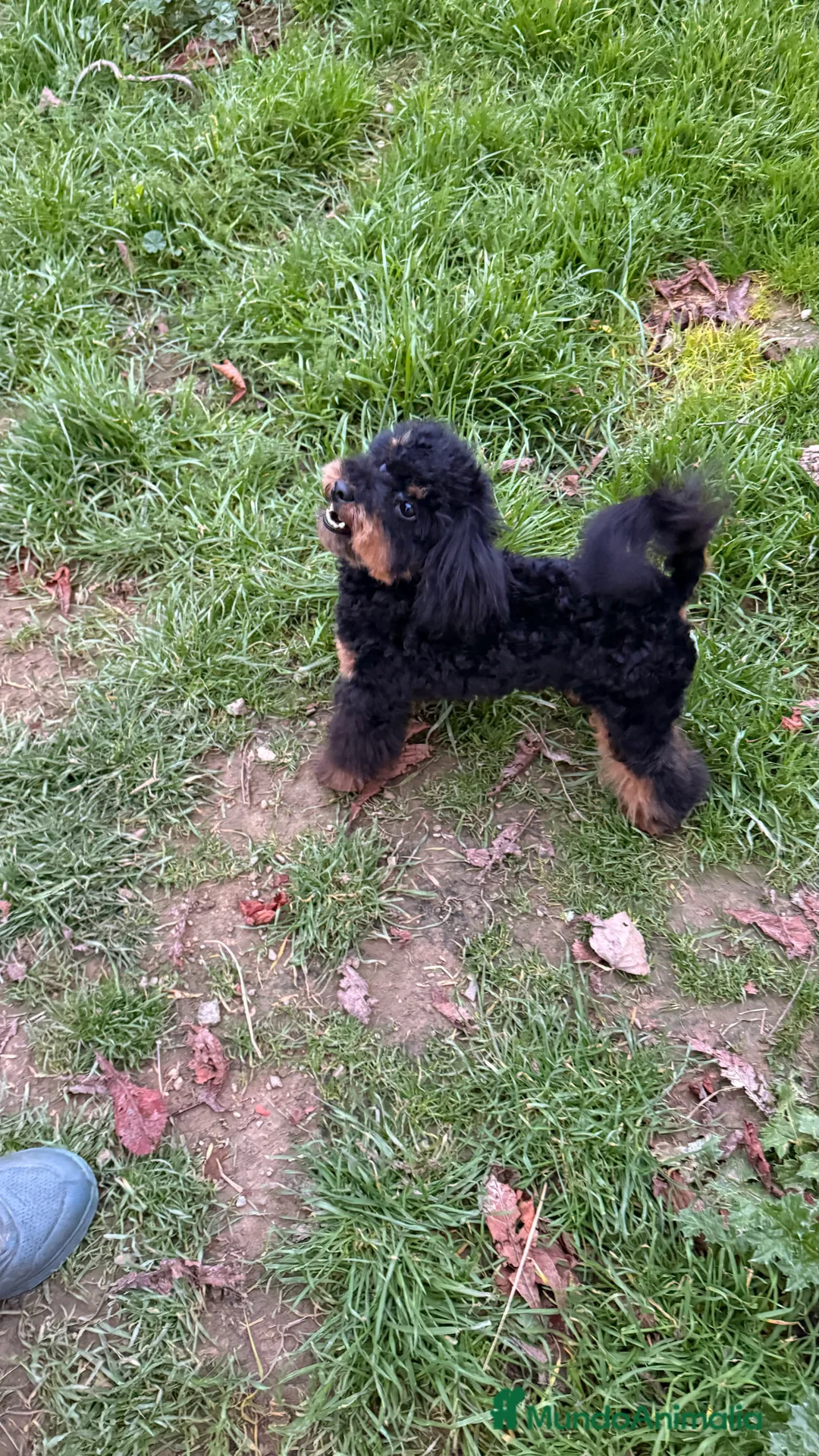 Imagen de galería {{count}}