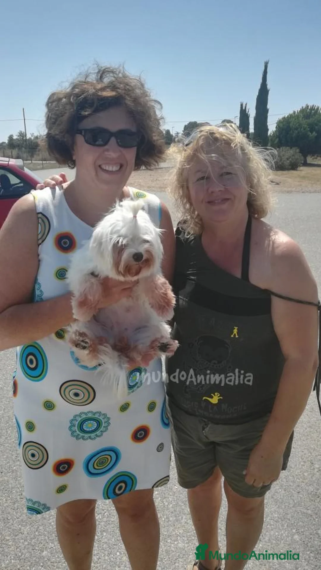 Imagen de galería {{count}}