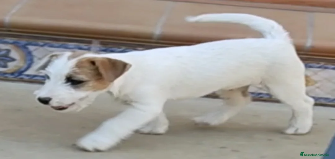 Imagen de galería {{count}}