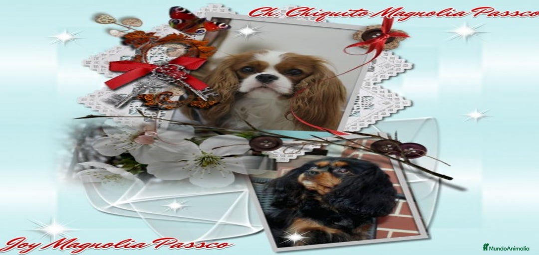 Imagen de galería {{count}}