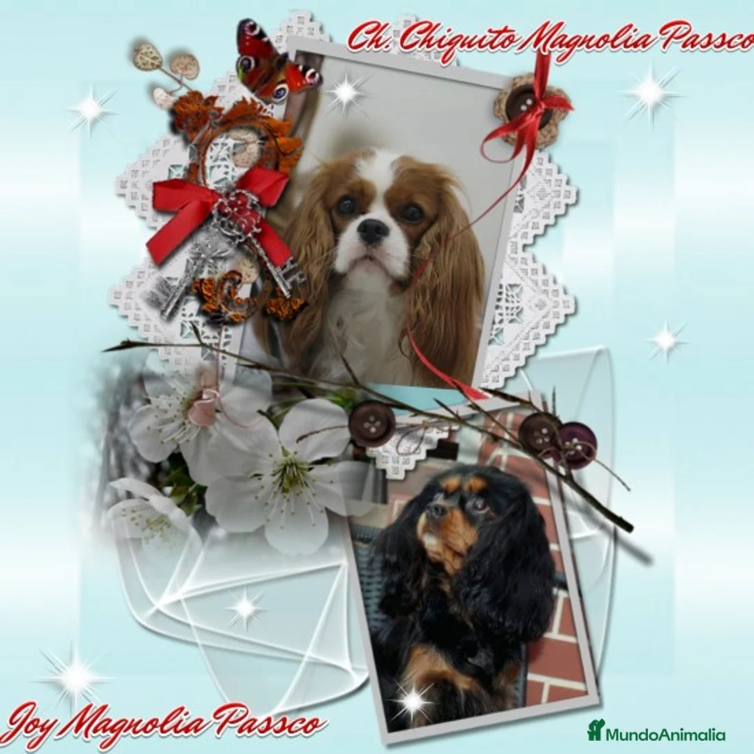 Imagen de galería {{count}}