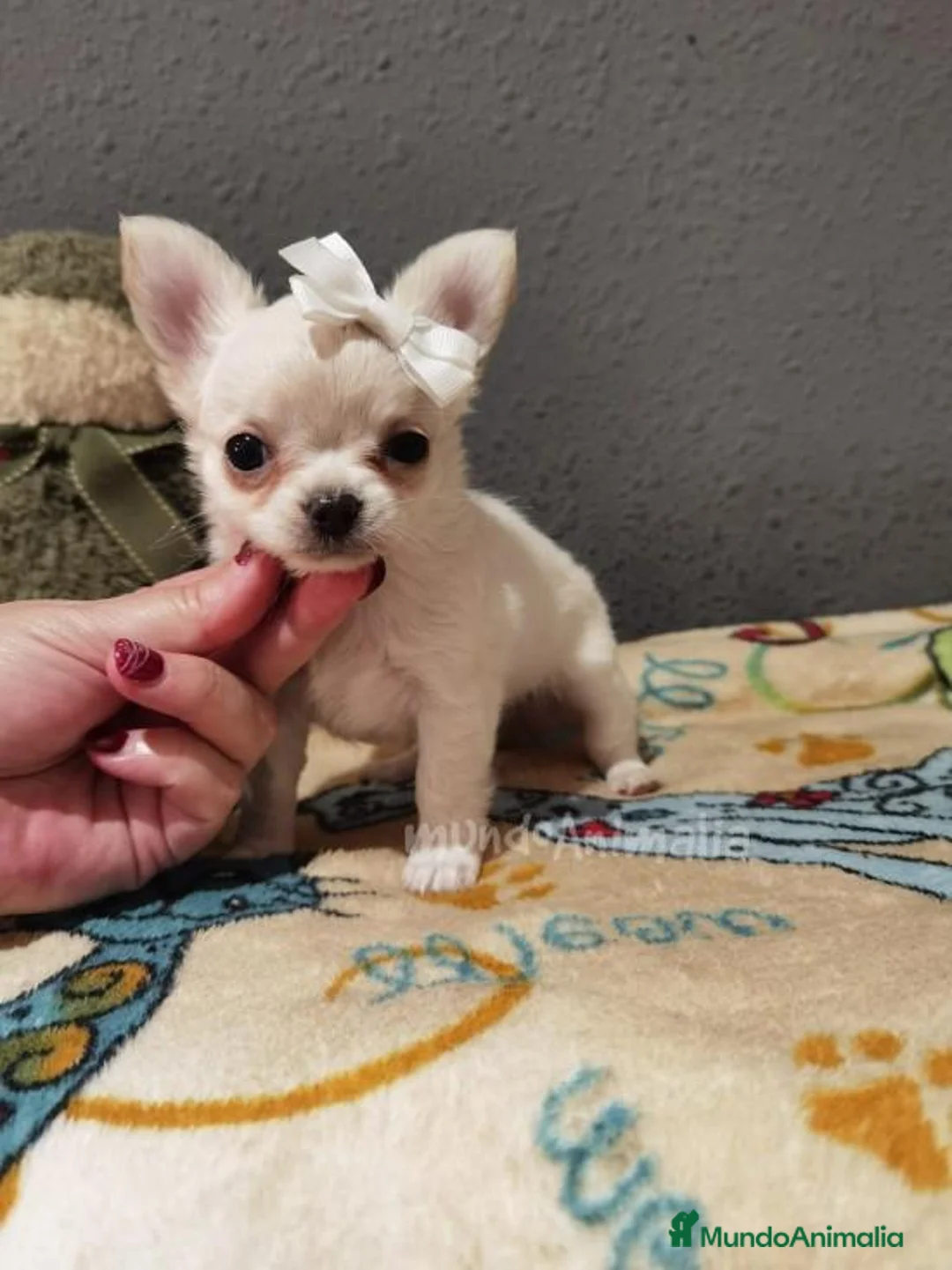 Imagen de galería {{count}}