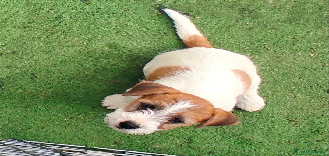 Imagen de galería {{count}}