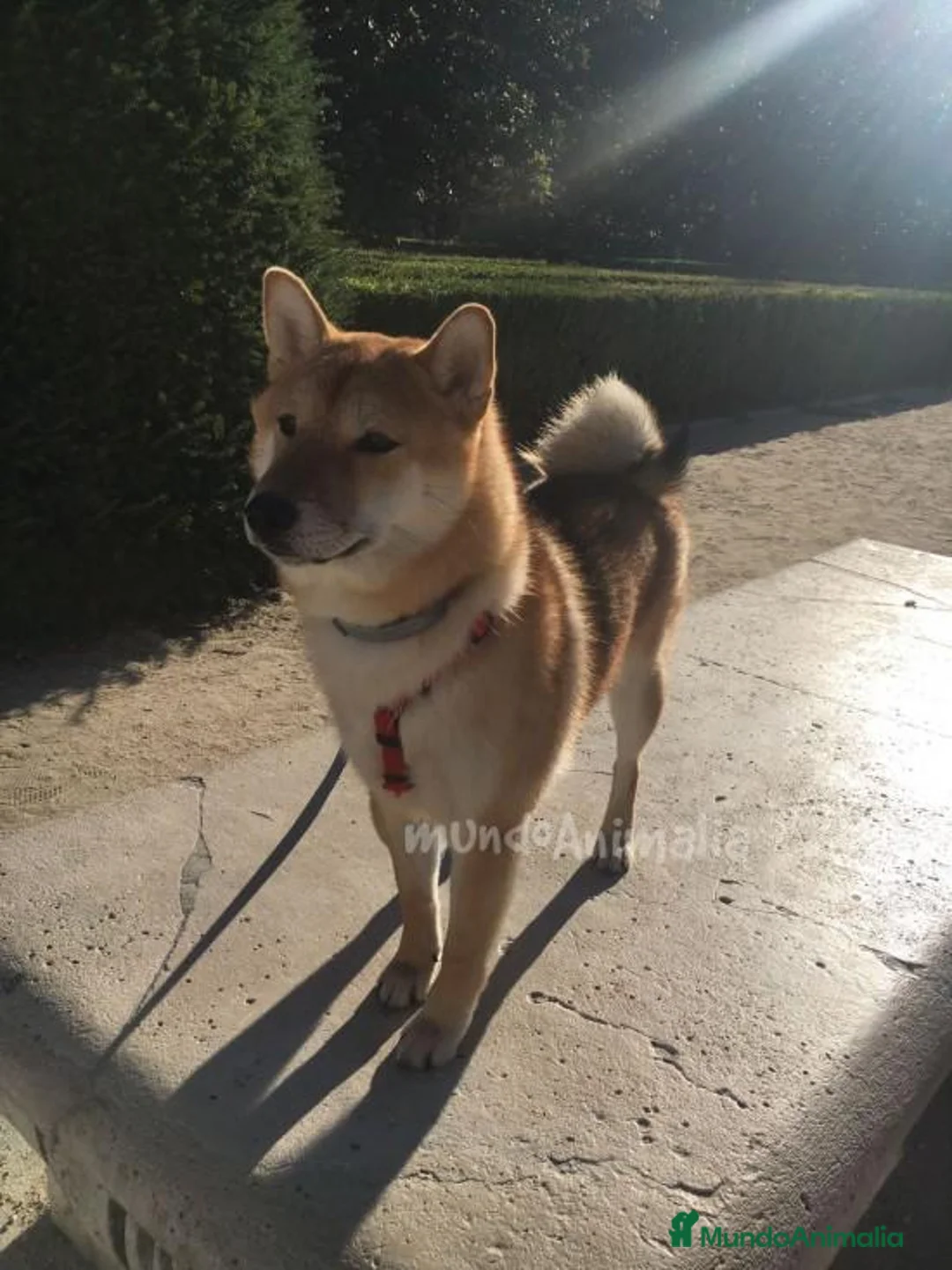 Imagen de galería {{count}}