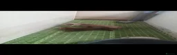 Teckel Miniatura perros en venta: Teckels Color Jabalí Hembra  - Anuncio 6