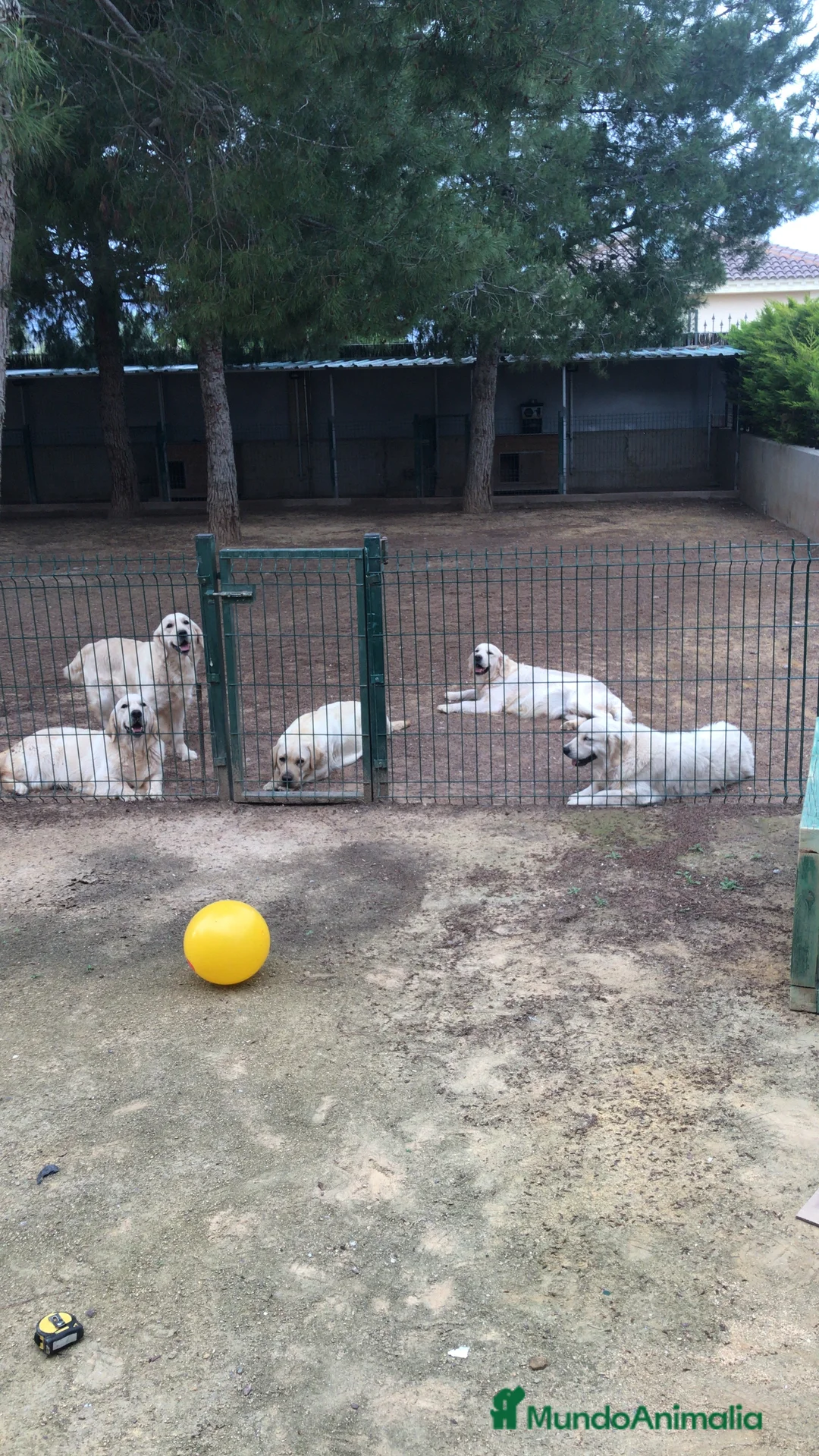 Imagen de galería {{count}}