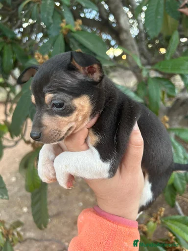 Imagen de galería {{count}}