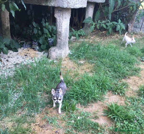 Imagen de galería {{count}}