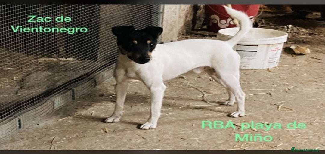 Imagen de galería {{count}}