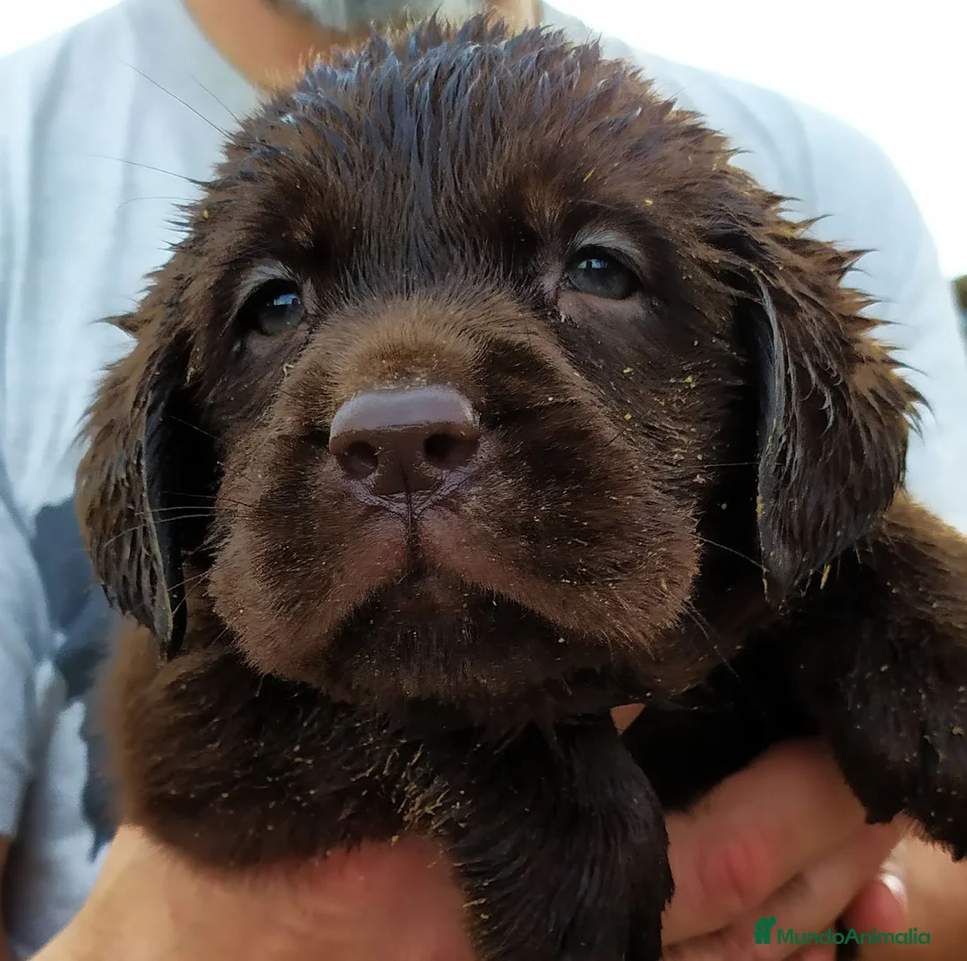 Imagen de galería {{count}}