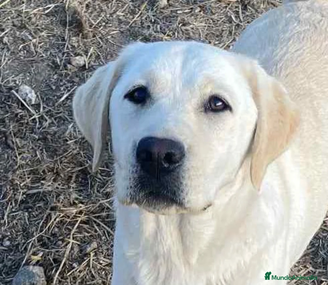 Imagen de galería {{count}}