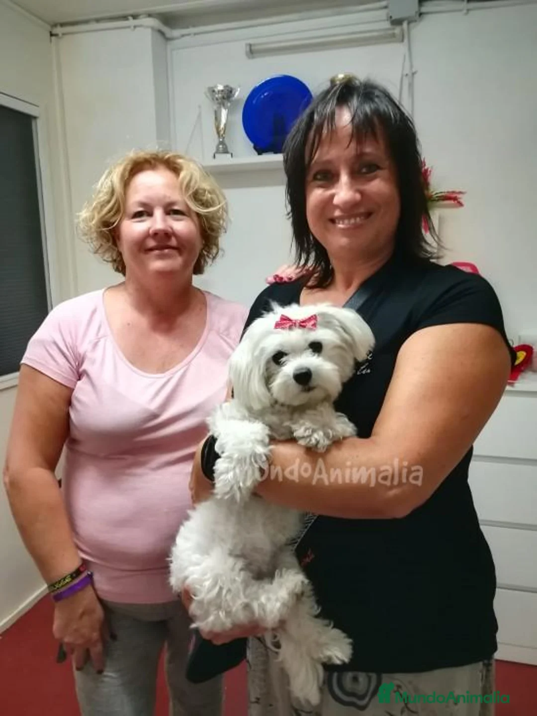 Imagen de galería {{count}}