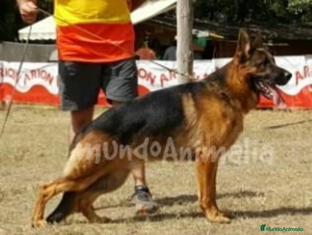 Imagen de galería {{count}}