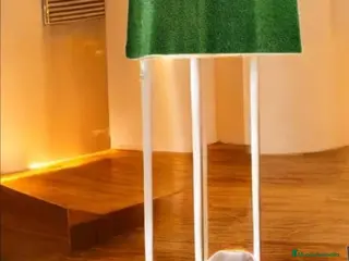 Pomerania perros Cachorro de pomerania - Anuncio 3