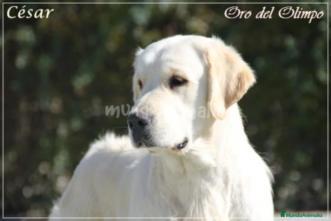 Imagen de galería {{count}}