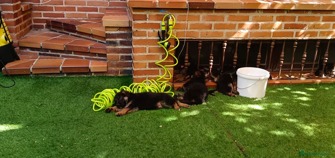 Imagen de galería {{count}}