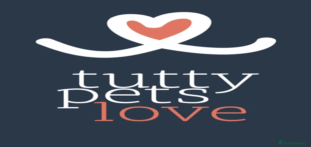 Imagen de galería {{count}}