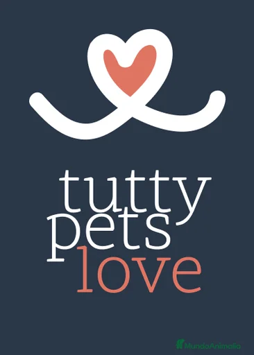 Imagen de galería {{count}}