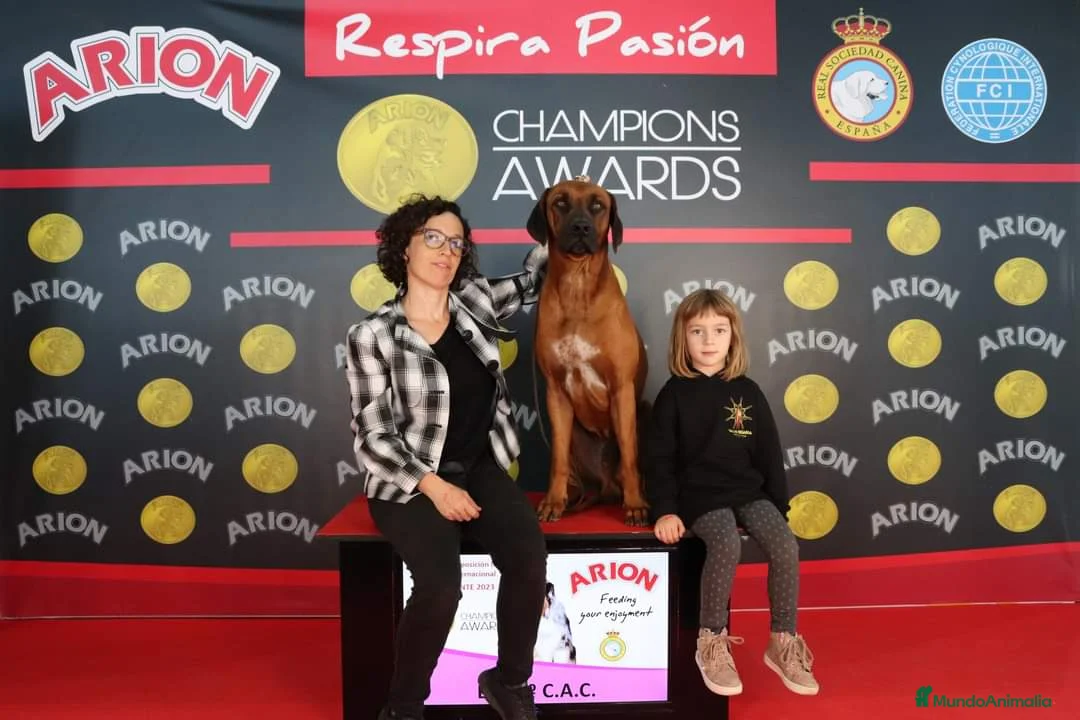 Imagen de galería {{count}}