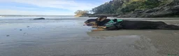 Bulldog Francés perros en adopcion: Bulldog Francés exóticas en adopción en La Coruña - Anuncio 15