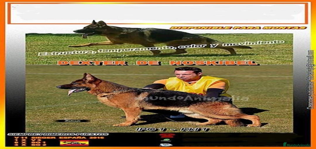 Imagen de galería {{count}}