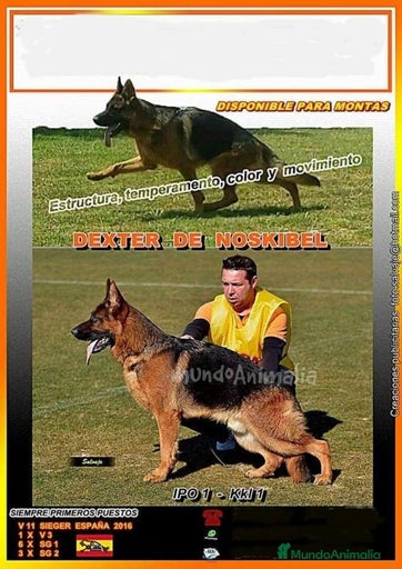 Imagen de galería {{count}}