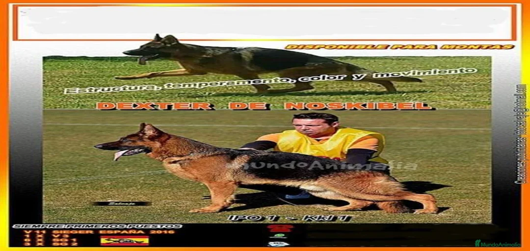 Imagen de galería {{count}}