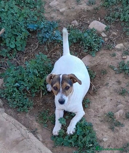 Imagen de galería {{count}}