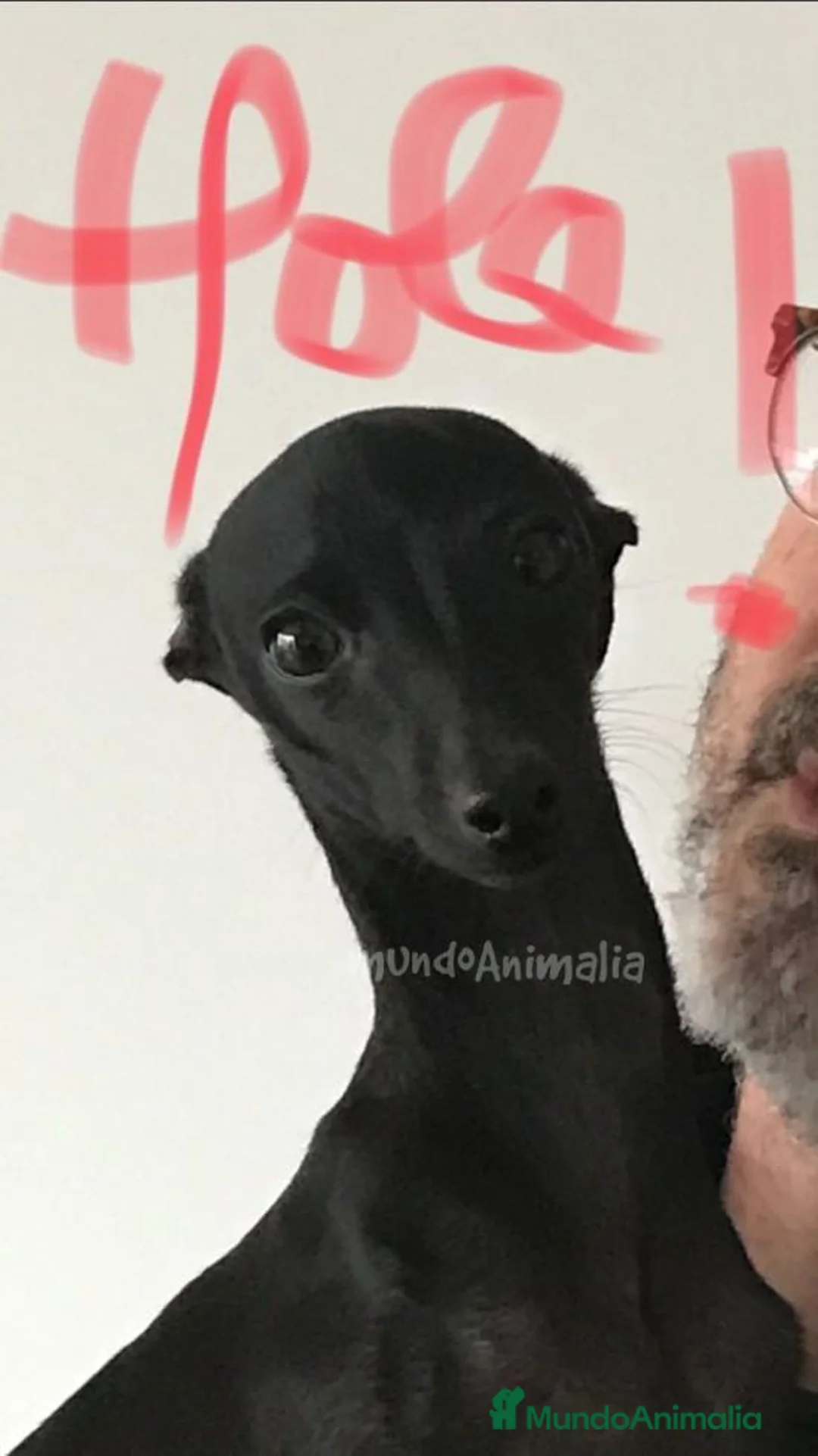 Imagen de galería {{count}}