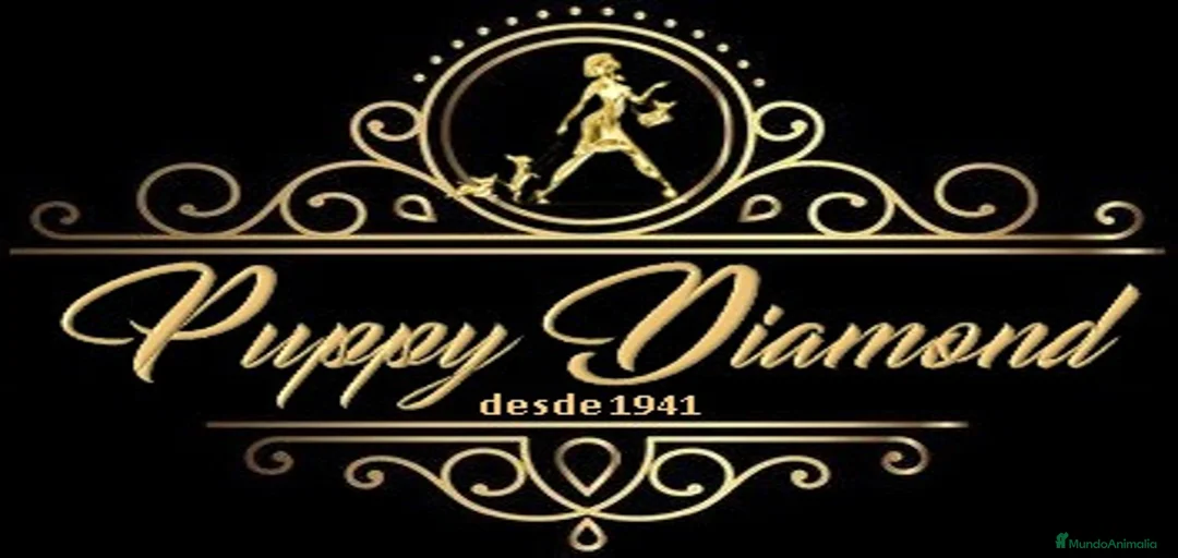 Imagen de galería {{count}}