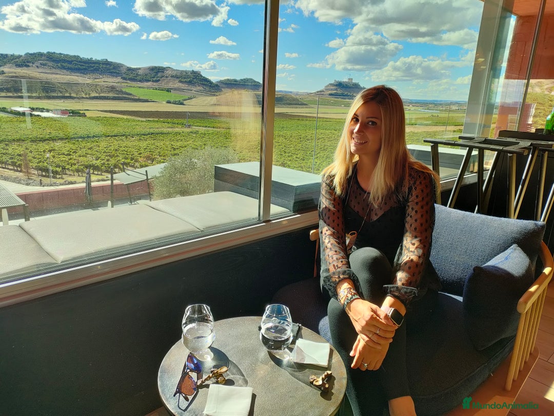 Imagen de galería {{count}}