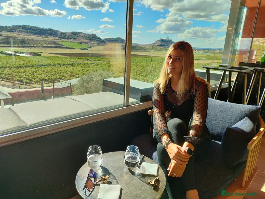 Imagen de galería {{count}}