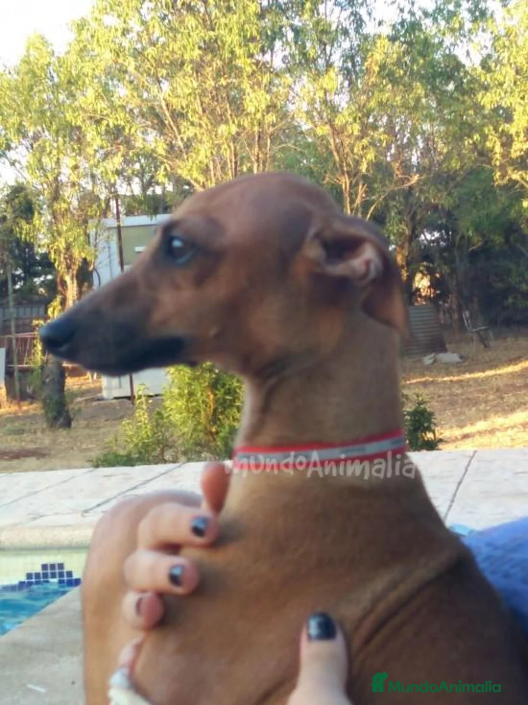 Imagen de galería {{count}}