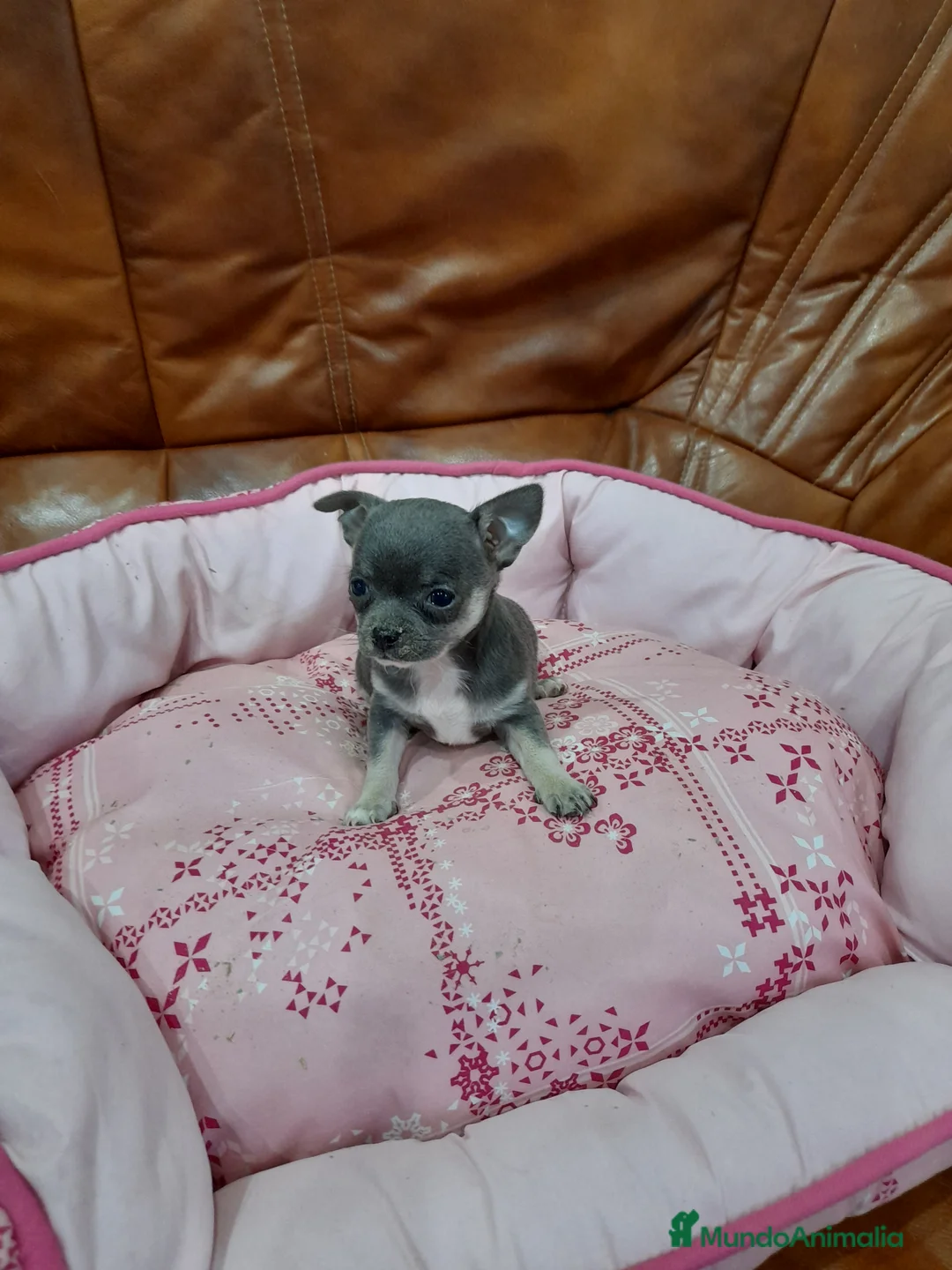 Imagen de galería {{count}}