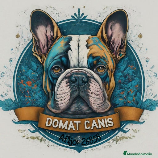 Imagen de galería {{count}}