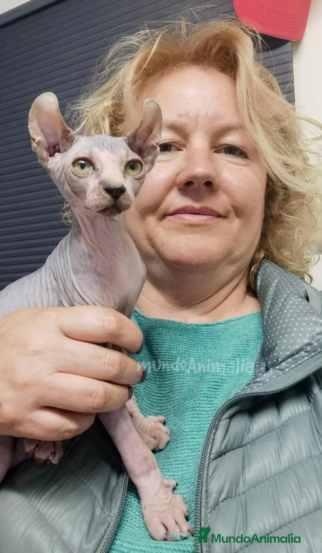 Imagen de galería {{count}}