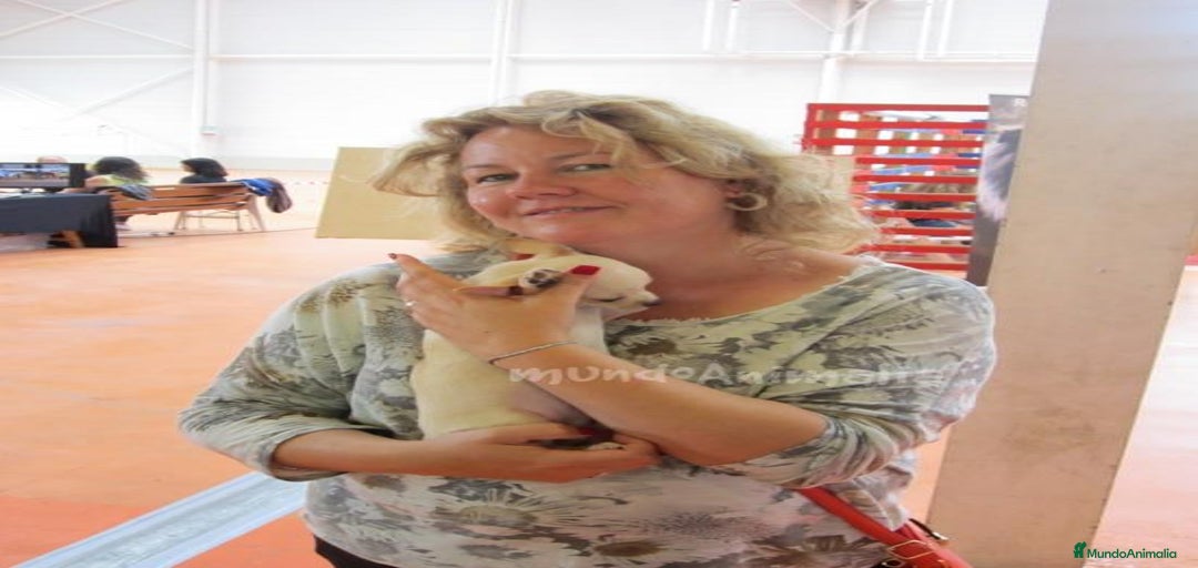 Imagen de galería {{count}}