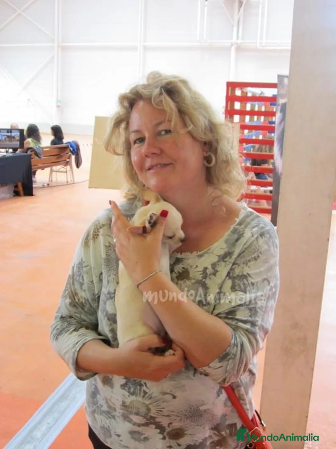 Imagen de galería {{count}}