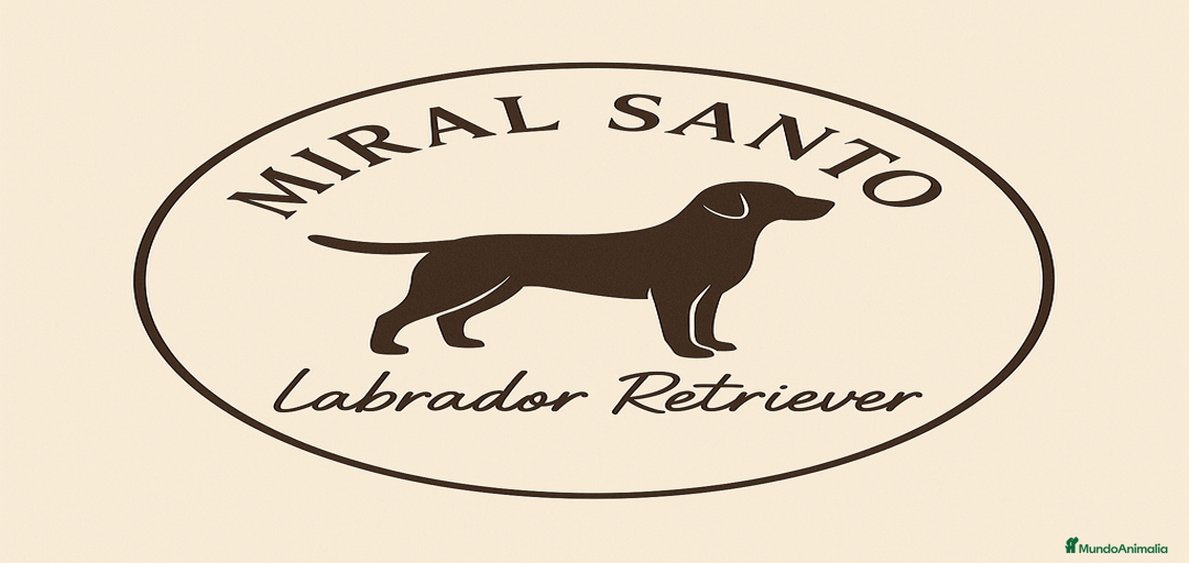 Imagen de galería {{count}}